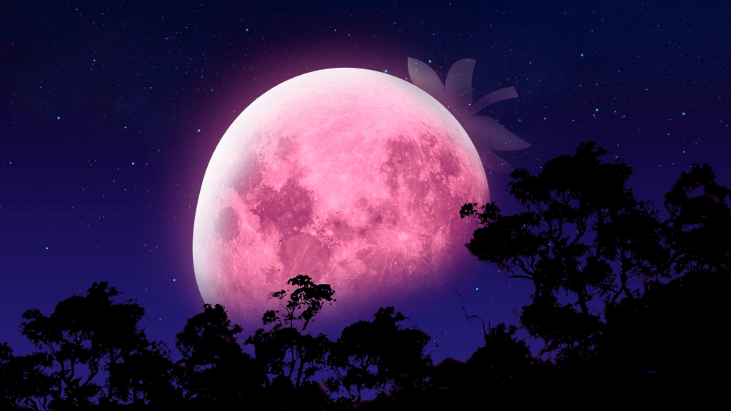 When is Strawberry Moon? Don't Miss the Upcoming June 2024 Strawberry Moon!