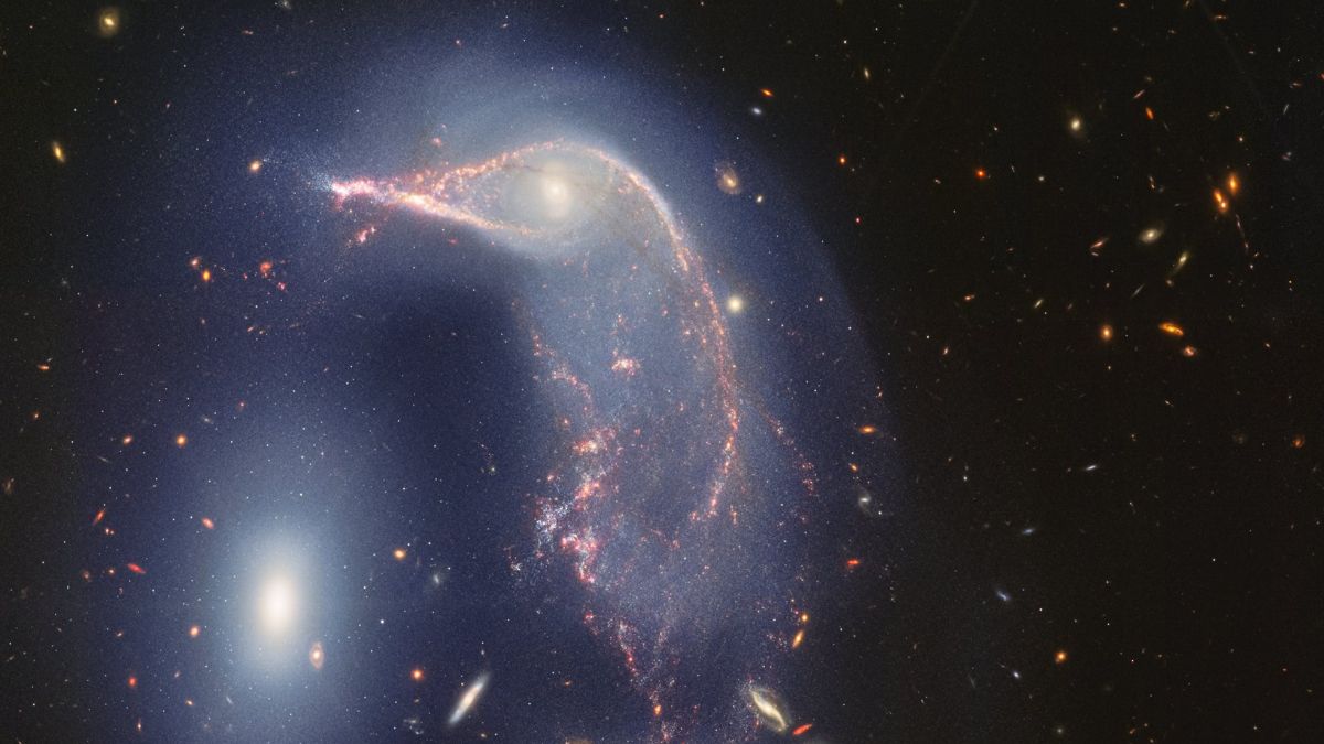 James Webb Space Telescope Captures Penguin and Egg Galaxies in Celestial Embrace
