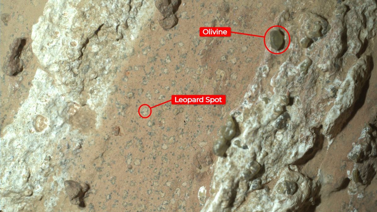 Mars Mystery Reveiled, Perseverance Rover’s ‘Cheyava Falls’ Finds Ancient Rock on Mars