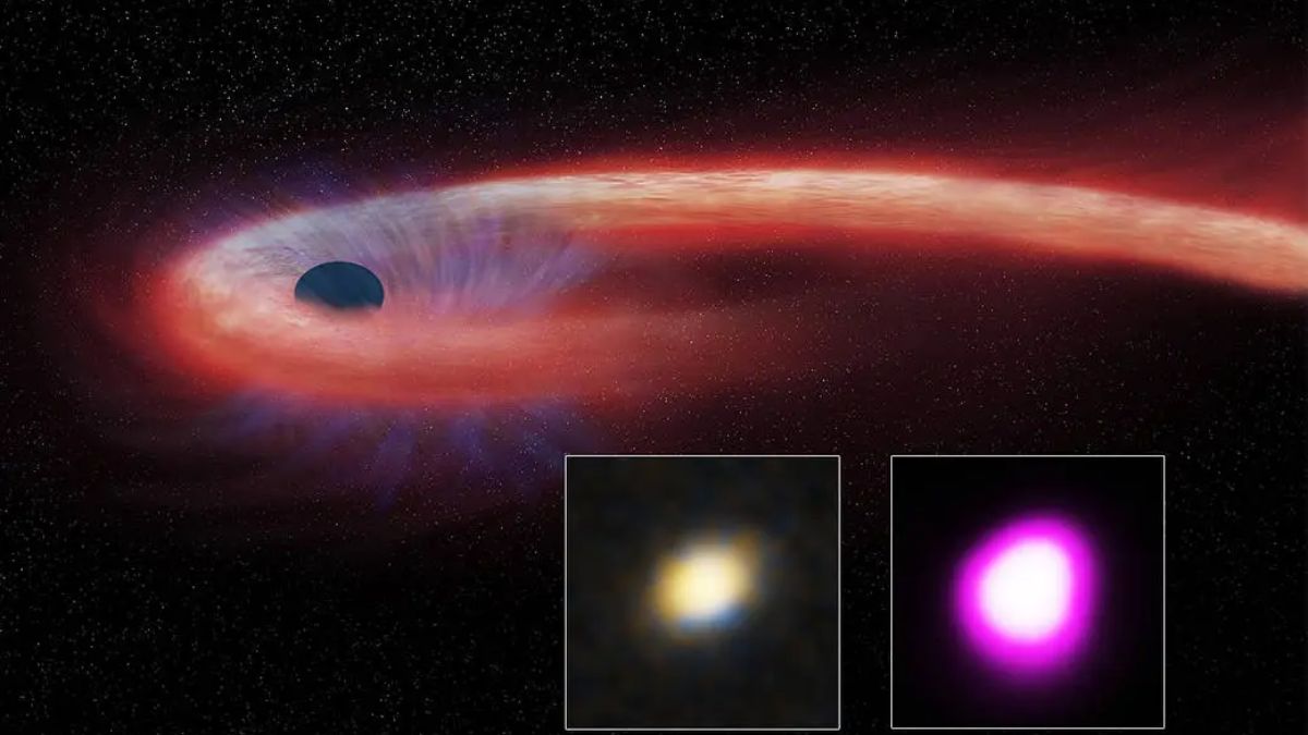 Astronomers Awestruck by Black Hole’s Biggest and Brightest Star Snack!