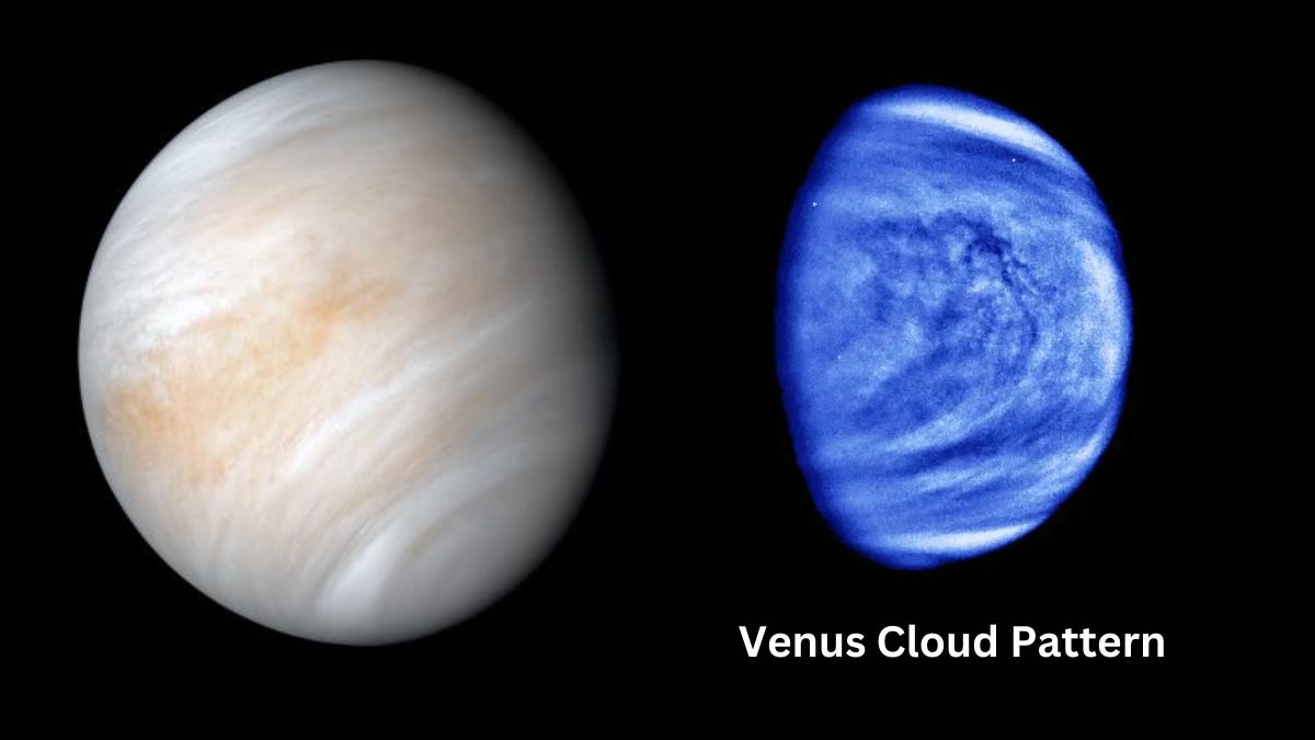 Life in Venus’ Clouds? New Evidence Fuels Exciting Debate!