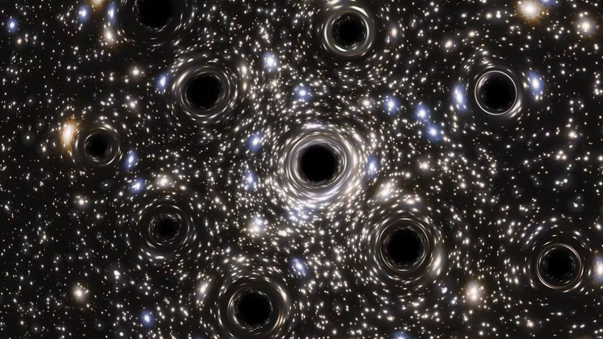 Primordial Black Holes Booting Stars Out of Their Orbits!